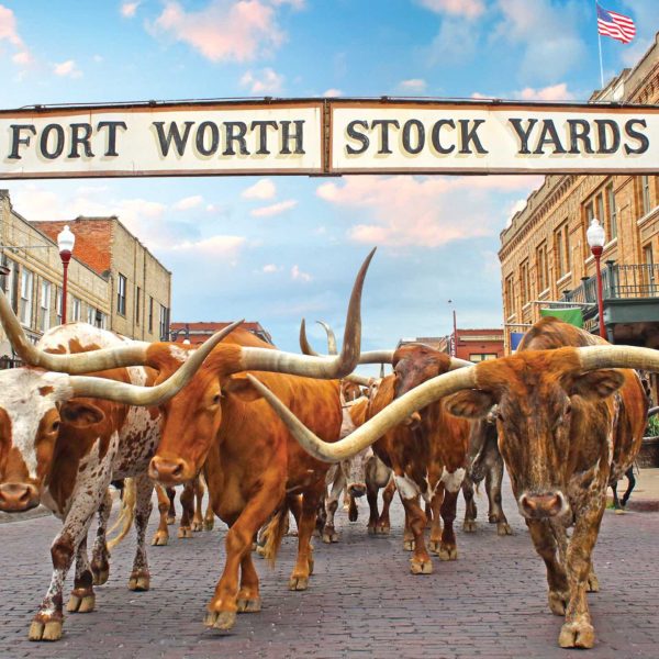 The Stockyards Supply