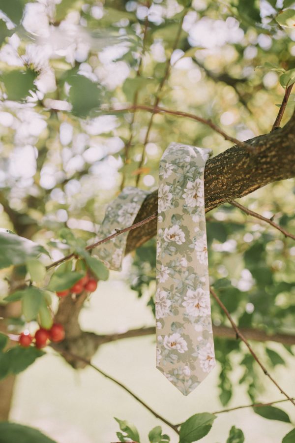 Alyssum Sale - Image 4